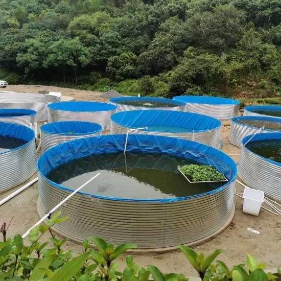 Aquário de peixes de fábrica dobrável de lona de PVC Aquário de peixes econômico